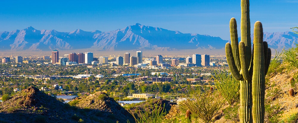 Phoenix skyline and cactus